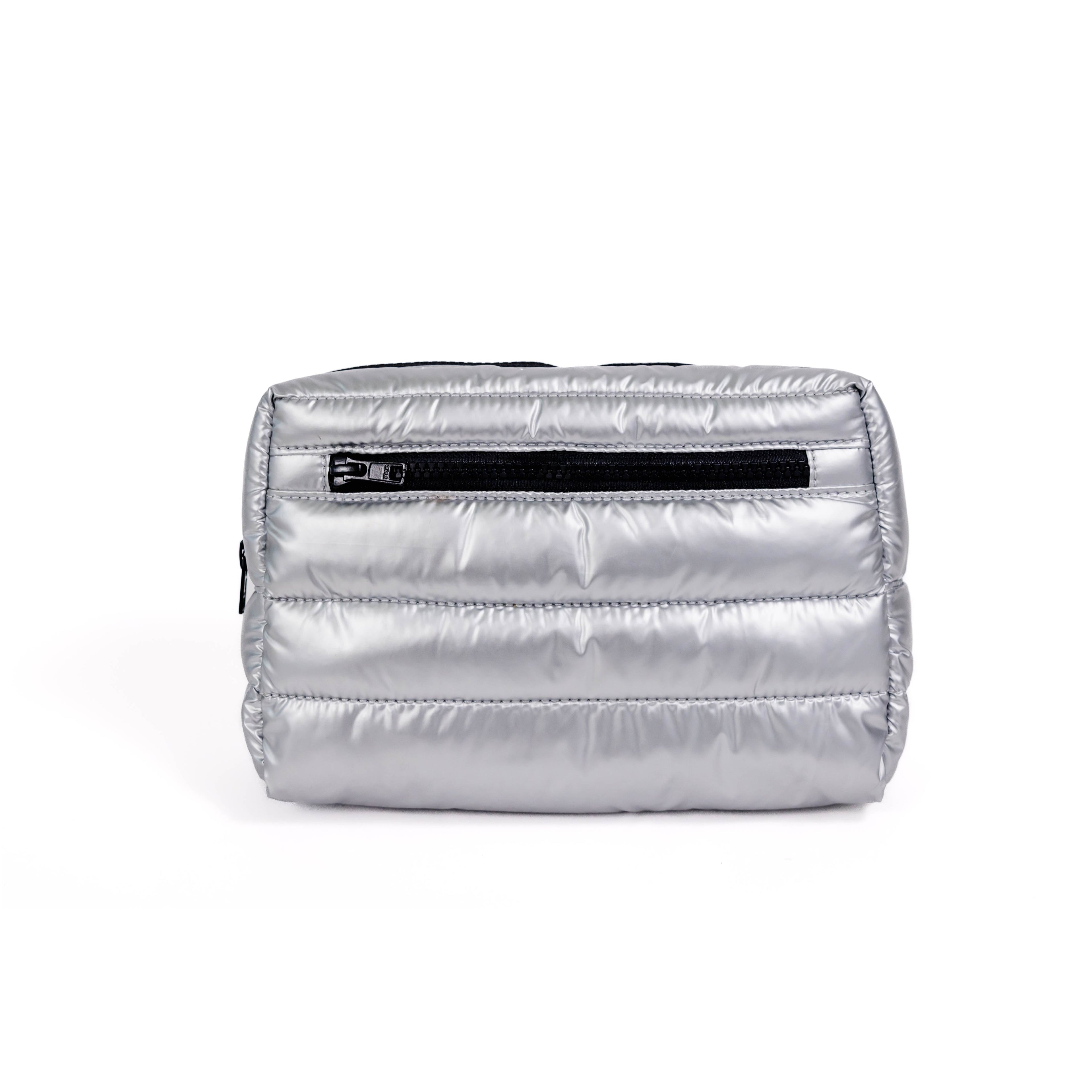 Gabriella Small Cosmetic Bag in Silver